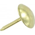 Upholstery Nails Brassed 15 Per Pack