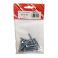 M6 X 40 Coach Screw Bzp  12 Per Pack 