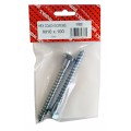 M10 X 100 Coach Screw Bzp 2 Per Pack