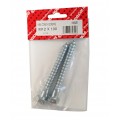 M12 X 100 Coach Screw Bzp 2 Per Pack