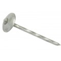 65mm Spring Head Nails 250G Xtra Value