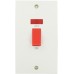 45A Dp Switch + Neon Tall Plate Sq White 1 Per Pack
